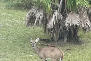 540 Bayou Ave, Anahuac, TX 77514 - Photo 31