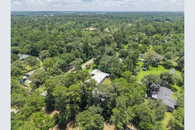 30803 Kate Drive, Magnolia, TX 77355 - Photo 49
