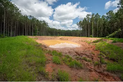 Tbd Tile Plant Road, Woodville, TX 75979 - Photo 5
