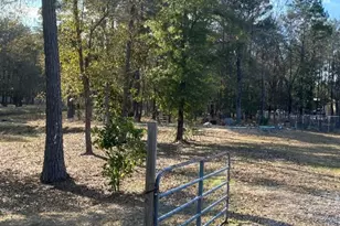 23859 Mydas Fly Ln, New Caney, TX 77357 - Photo 1