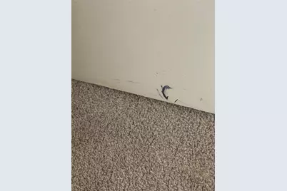 3611 Darnell Court, Missouri City, TX 77459 - Photo 15