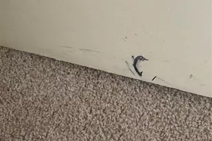 3611 Darnell Ct, Missouri City, TX 77459 - Photo 15