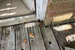 3611 Darnell Ct, Missouri City, TX 77459 - Photo 17