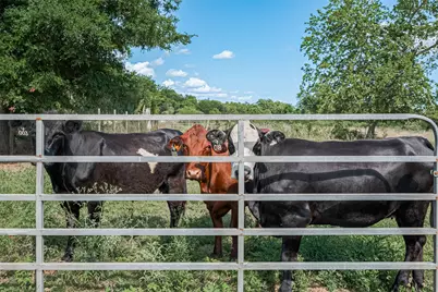 2511 Hartwell Road, Brookshire, TX 77423 - Photo 13