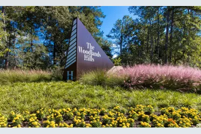 119 Buttonwood Court, Conroe, TX 77318 - Photo 7