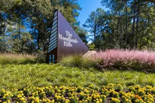 119 Buttonwood Ct, Conroe, TX 77318 - Photo 7