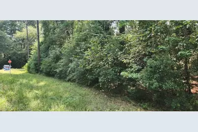 0 Daniel Street, Magnolia, TX 77354 - Photo 11