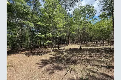 0 Daniel Street, Magnolia, TX 77354 - Photo 17