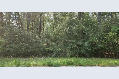 0 Daniel Street, Magnolia, TX 77354 - Photo 7