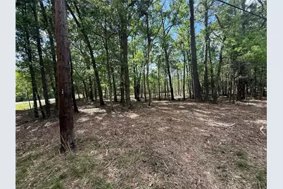 0 Daniel Street, Magnolia, TX 77354 - Photo 15