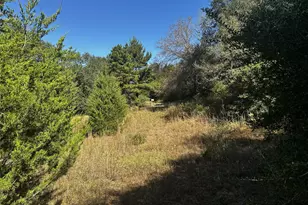 285 Private Rd 3420, Jewett, TX 75846 - Photo 25