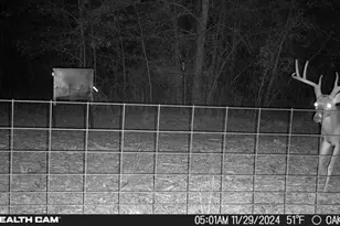 285 Private Rd 3420, Jewett, TX 75846 - Photo 17