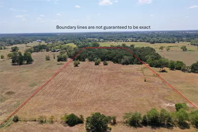 14 Ac Halliday Lane, Madisonville, TX 77864 - Photo 3
