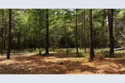 167-B Winchester Road, Huntsville, TX 77340 - Photo 11