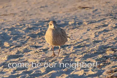 1211 W Canal, Crystal Beach, TX 77650 - Photo 39