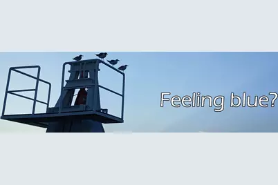 1211 W Canal, Port Bolivar, TX 77650 - Photo 35