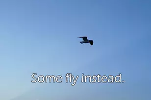 1211 W Canal, Crystal Beach, TX 77650 - Photo 39