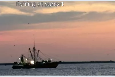 1211 W Canal, Port Bolivar, TX 77650 - Photo 43