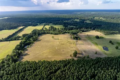 Tbd County Road 4600, Kennard, TX 75847 - Photo 5