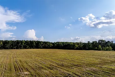 Tbd County Road 4600, Kennard, TX 75847 - Photo 15