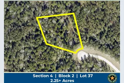 10550 Link Tree Lane, Willis, TX 77378 - Photo 1