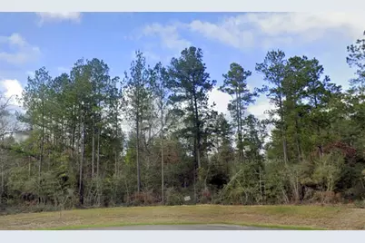 10550 Link Tree Lane, Willis, TX 77378 - Photo 5