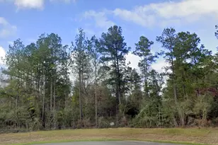 10550 Link Tree Ln, Willis, TX 77378 - Photo 5