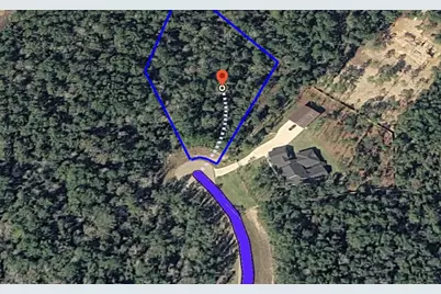 10550 Link Tree Lane, Willis, TX 77378 - Photo 3