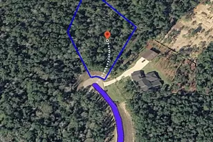 10550 Link Tree Ln, Willis, TX 77378 - Photo 3