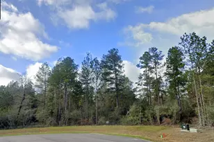 10550 Link Tree Ln, Willis, TX 77378 - Photo 7