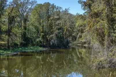 Tbd (+/-69.227 Acres) St Hwy 21 E, Midway, TX 75852 - Photo 9