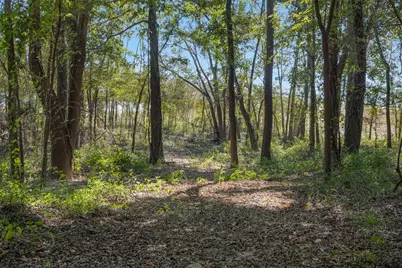 Tbd (+/-69.227 Acres) St Hwy 21 E, Midway, TX 75852 - Photo 15
