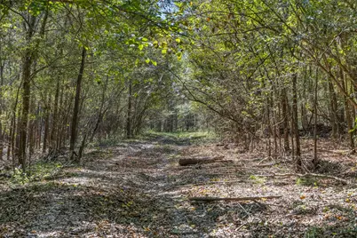 Tbd (+/-69.227 Acres) St Hwy 21 E, Midway, TX 75852 - Photo 11