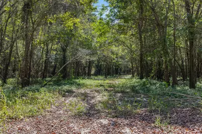 Tbd (+/-69.227 Acres) St Hwy 21 E, Midway, TX 75852 - Photo 13