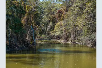 Tbd (+/-69.227 Acres) St Hwy 21 E, Midway, TX 75852 - Photo 1