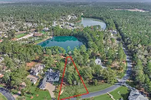 4437 Holly Trail Rd, Montgomery, TX 77316 - Photo 9