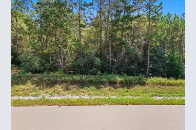 Lot 42 Lonestar Road, Huntsville, TX 77340 - Photo 5