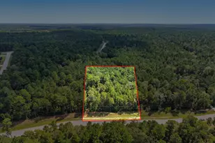 Lot 42 Lonestar Rd, Huntsville, TX 77340 - Photo 1