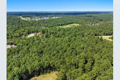 Lot 42 Lonestar Road, Huntsville, TX 77340 - Photo 13