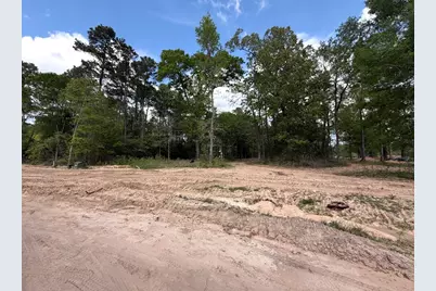 2425 Lonely Creek Circle, Montgomery, TX 77316 - Photo 3