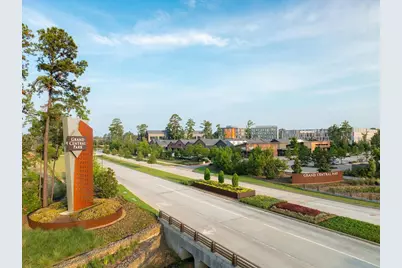 335 Wild Fork Court, Conroe, TX 77304 - Photo 7