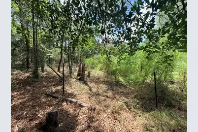 58 Roy Webb Road, Huntsville, TX 77320 - Photo 23
