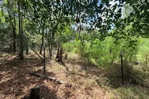 58 Roy Webb Rd, Huntsville, TX 77320 - Photo 23
