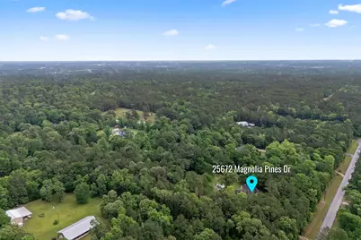 25672 Magnolia Pines Drive, Magnolia, TX 77355 - Photo 39