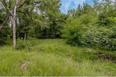 438 Cody Road, Groveton, TX 75845 - Photo 7