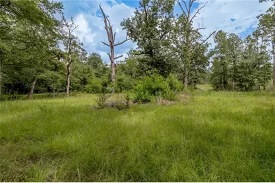 438 Cody Road, Groveton, TX 75845 - Photo 15