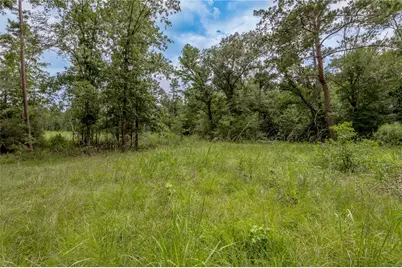 438 Cody Road, Groveton, TX 75845 - Photo 19