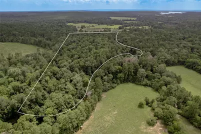438 Cody Road, Groveton, TX 75845 - Photo 1