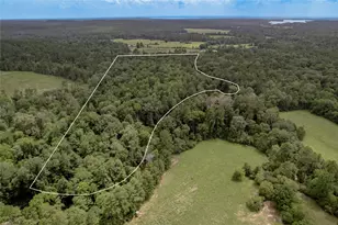 438 Cody Rd, Groveton, TX 75845 - Photo 1
