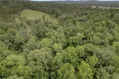 438 Cody Road, Groveton, TX 75845 - Photo 29